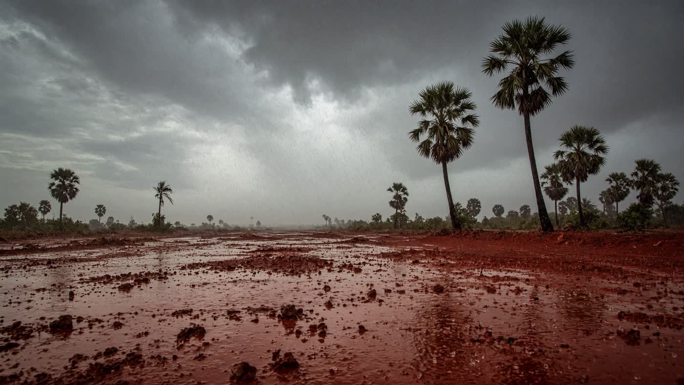 Red laterite soil darkening under a sheet of rain, forest edge, no faces, no Mughal miniature borrowed as if it were Tamil.